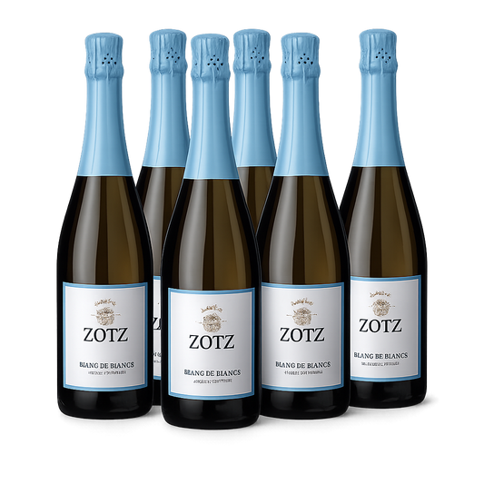 6er Alkoholfreier Sekt 🍾󠄷 "Testsieger" Blanc de Blancs